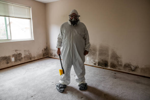 Best Office Mold Removal Services  in Cudjoe Key, FL